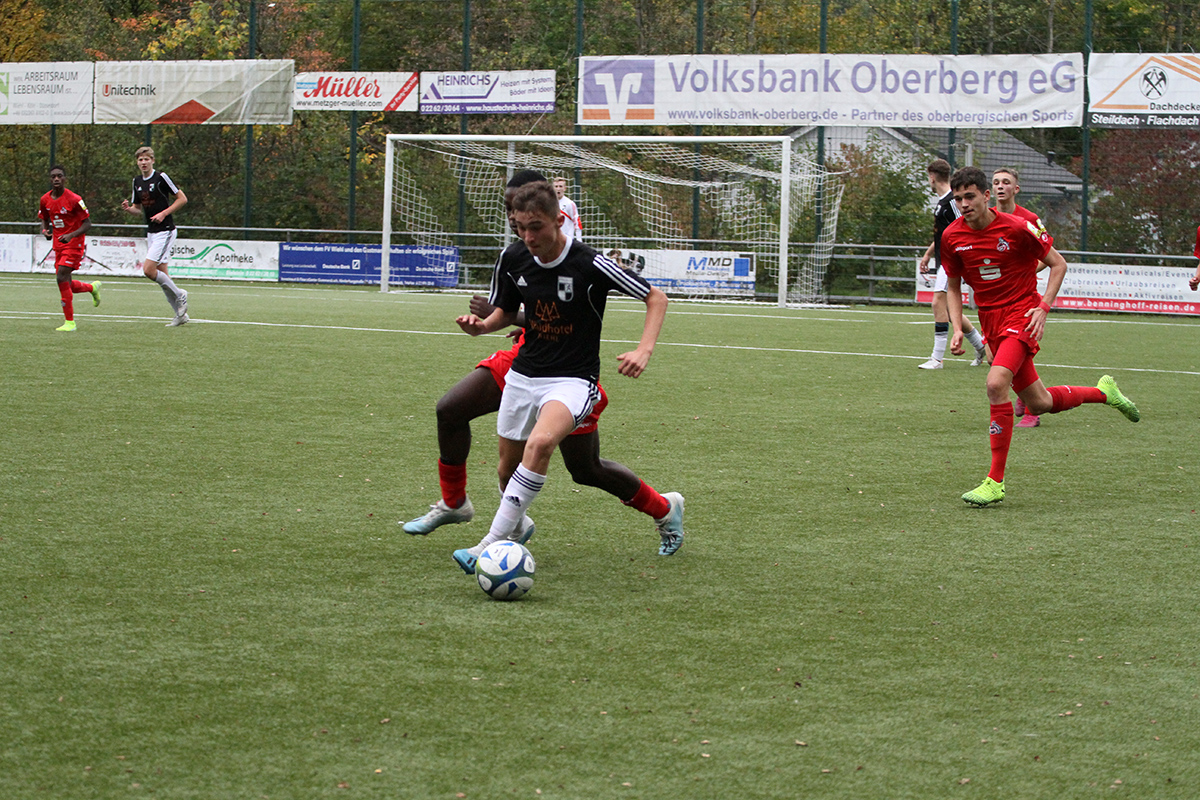 Fc Köln Aktuell Fc Köln Aktuell
