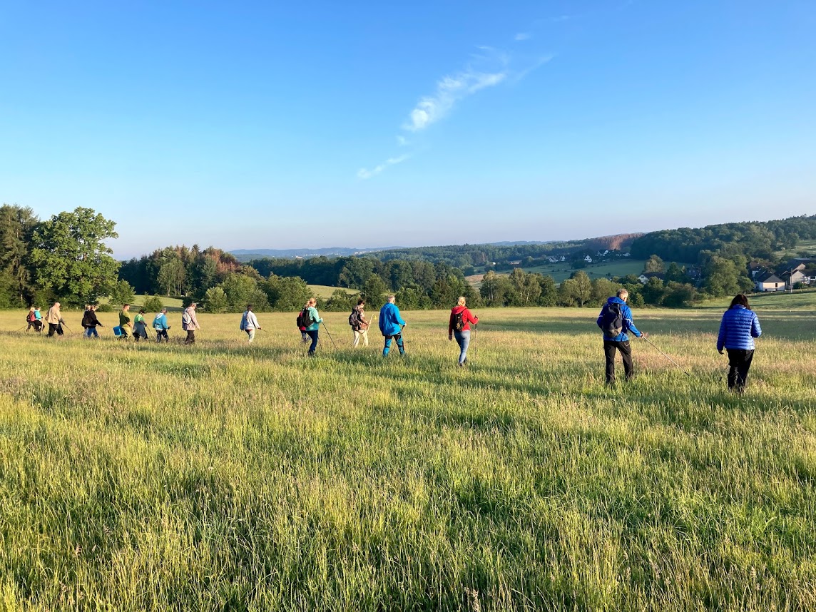/2020/06/15-06-2020kitzg03.jpg