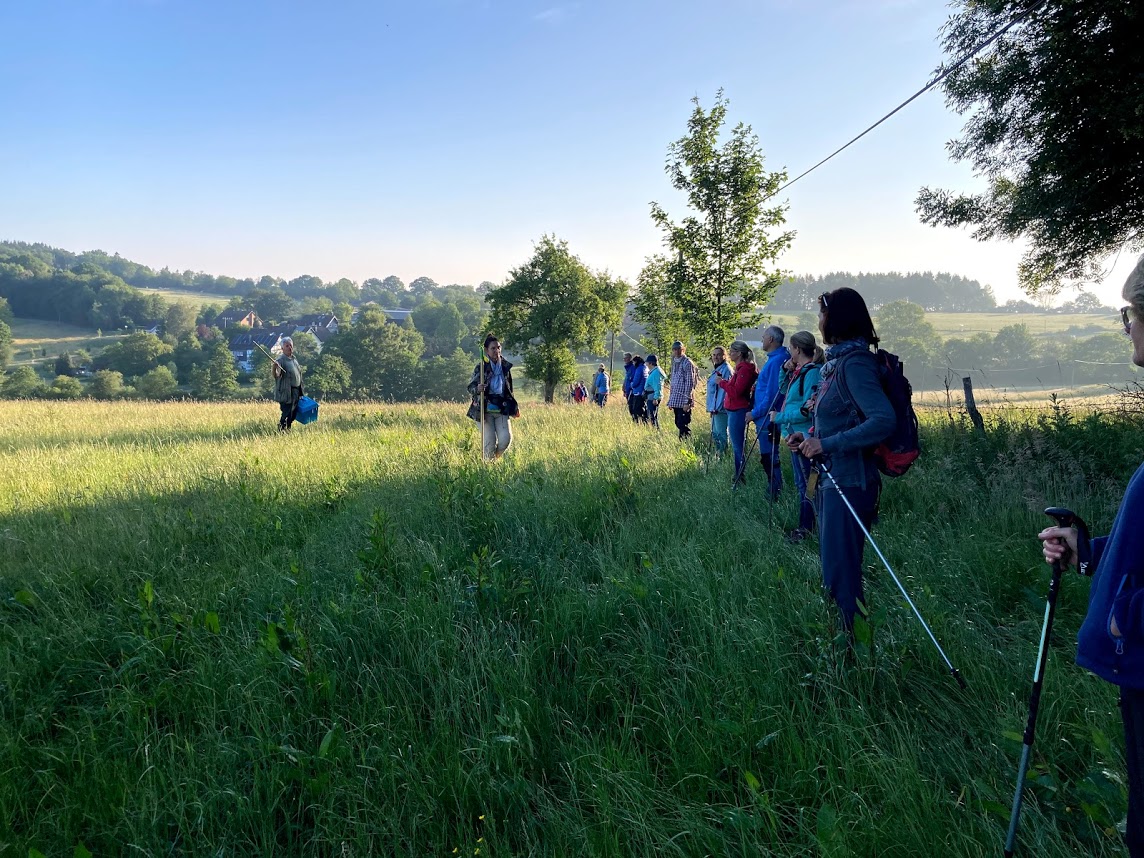 /2020/06/15-06-2020kitzg07.jpg