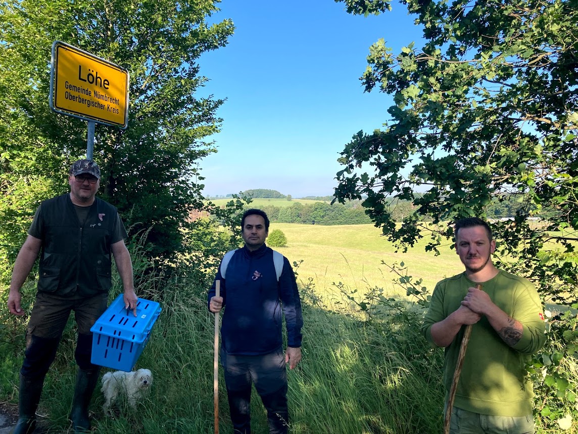 /2020/06/15-06-2020kitzg09.jpg