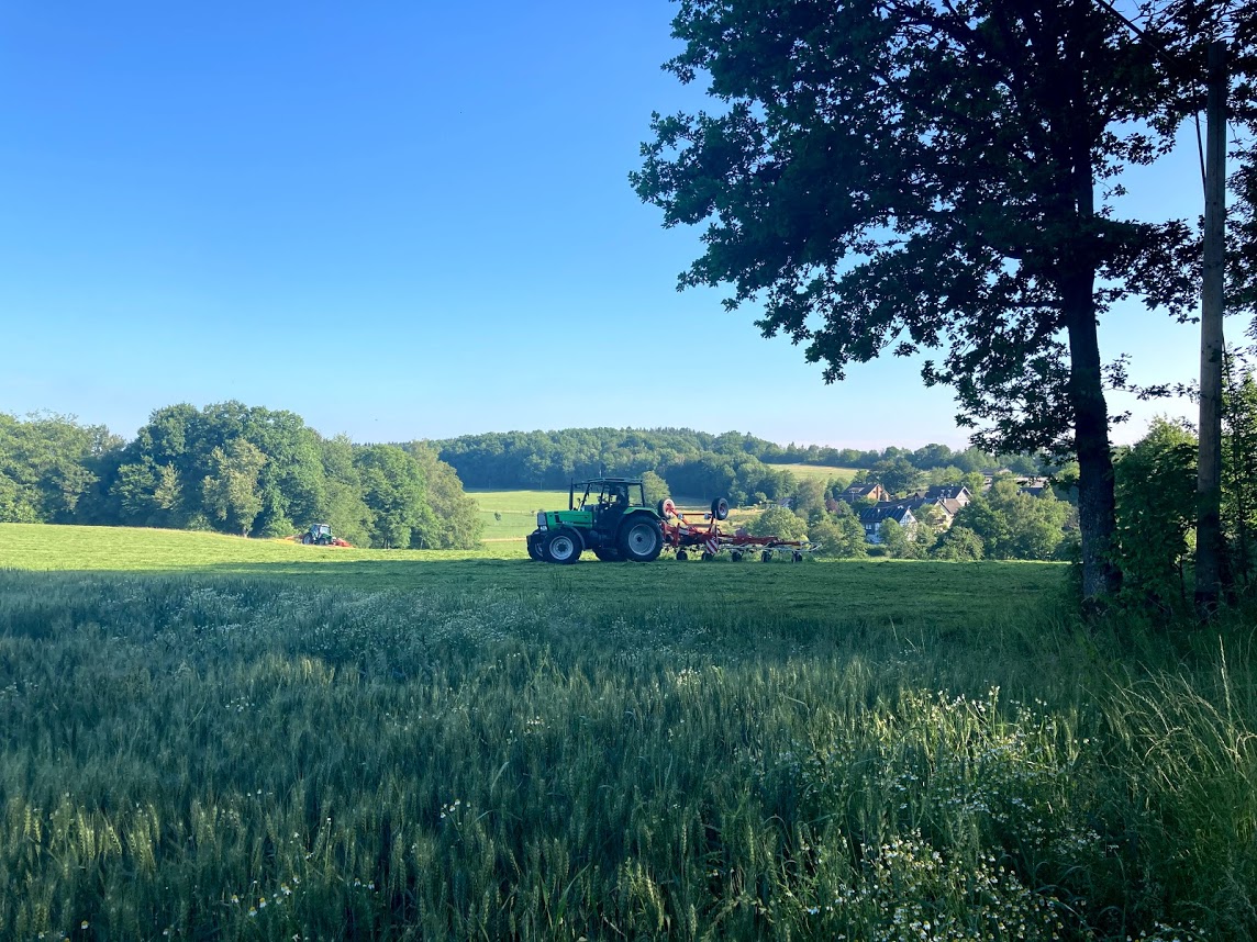 /2020/06/15-06-2020kitzg11.jpg