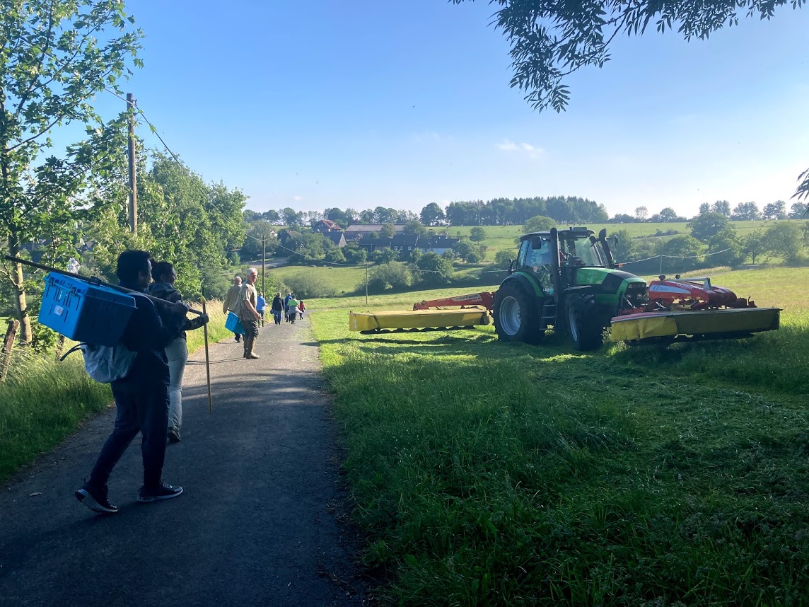 /2020/06/15-06-2020kitzg12.jpg
