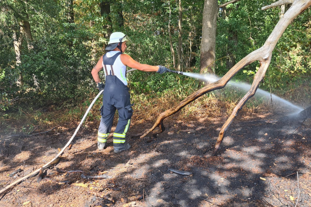 /2022/08/21-08-2022Wald2.jpg