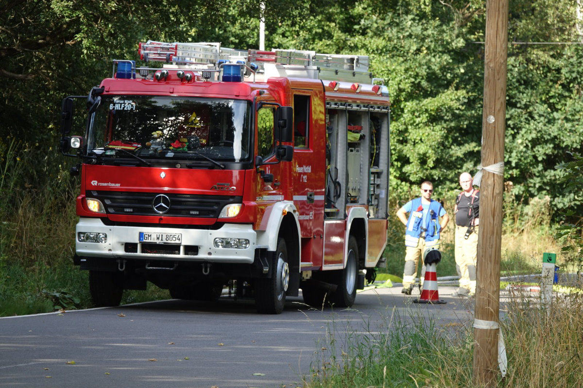 /2022/08/21-08-2022Wald8.jpg