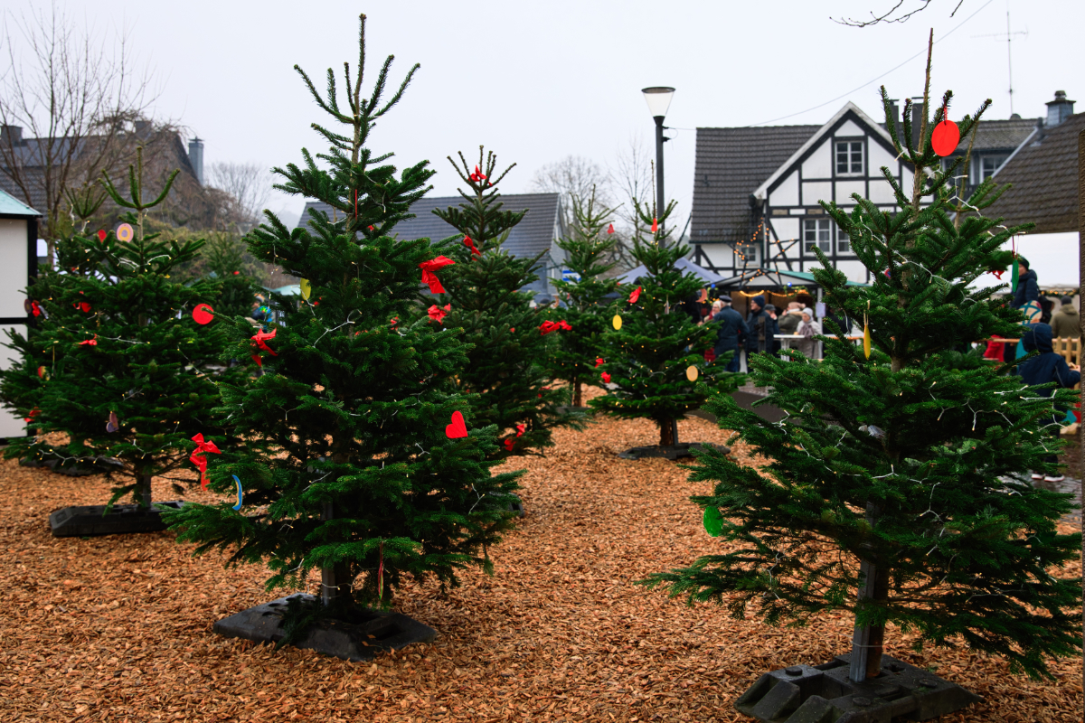 /2024/12/14-12-2024Budenzauberg05.jpg