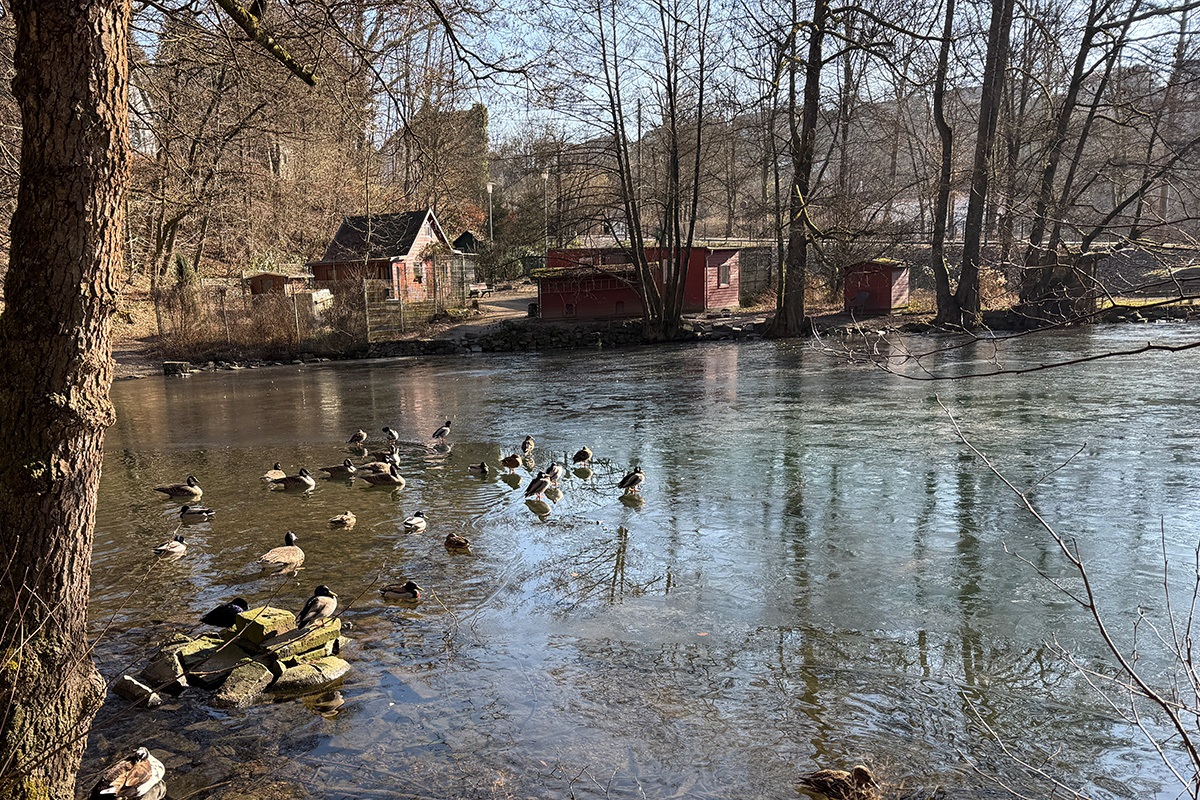 /2025/02/19-02-2025Grotenbachg02.jpg
