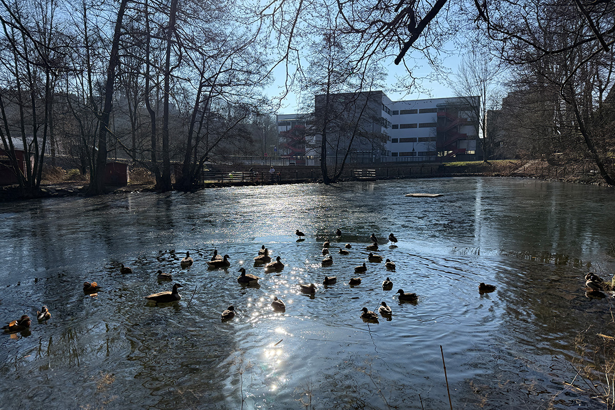 /2025/02/19-02-2025Grotenbachg03.jpg