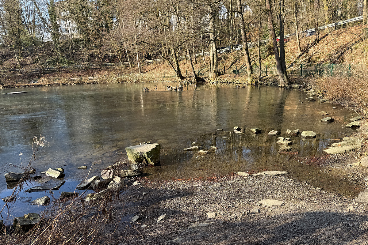 /2025/02/19-02-2025Grotenbachg04.jpg