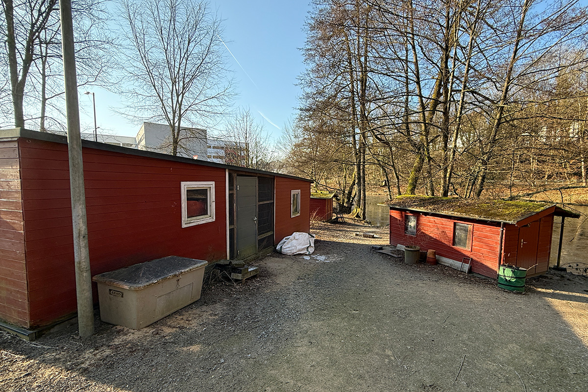 /2025/02/19-02-2025Grotenbachg14.jpg
