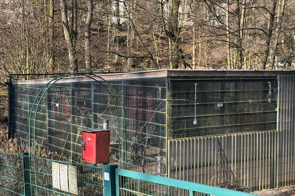/2025/02/19-02-2025Grotenbachg15.jpg