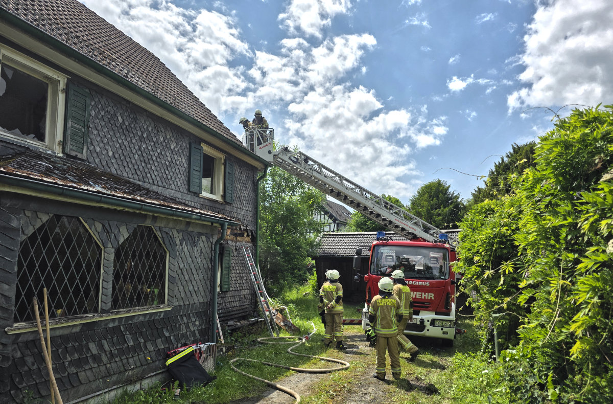 /2025/06/03-06-2025brandeiersg03.jpg