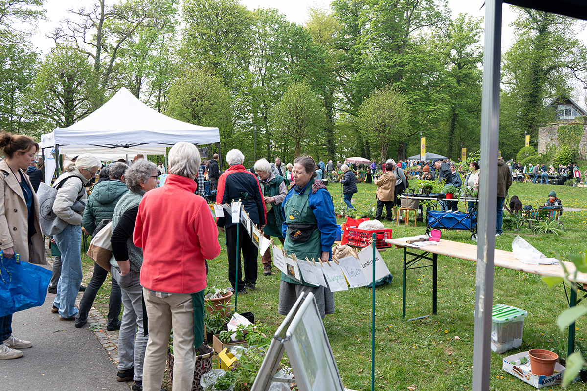 /2026/04/25-04-2026pflanzentauschb%C3%B6rseg02.jpg