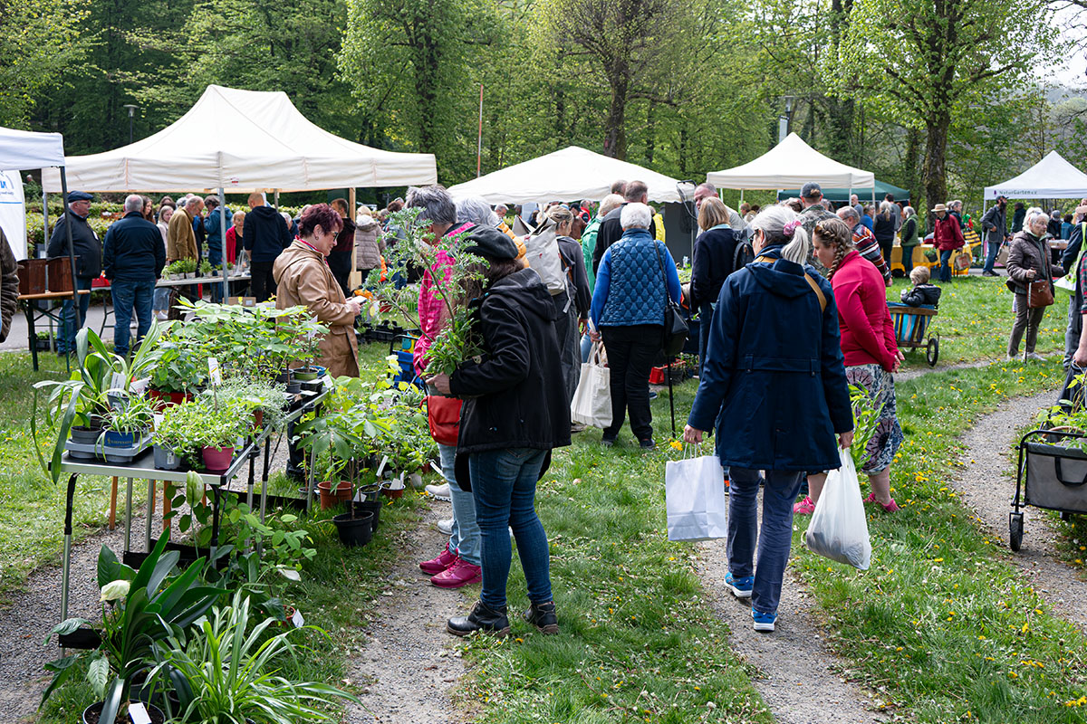 /2026/04/25-04-2026pflanzentauschb%C3%B6rseg06.jpg