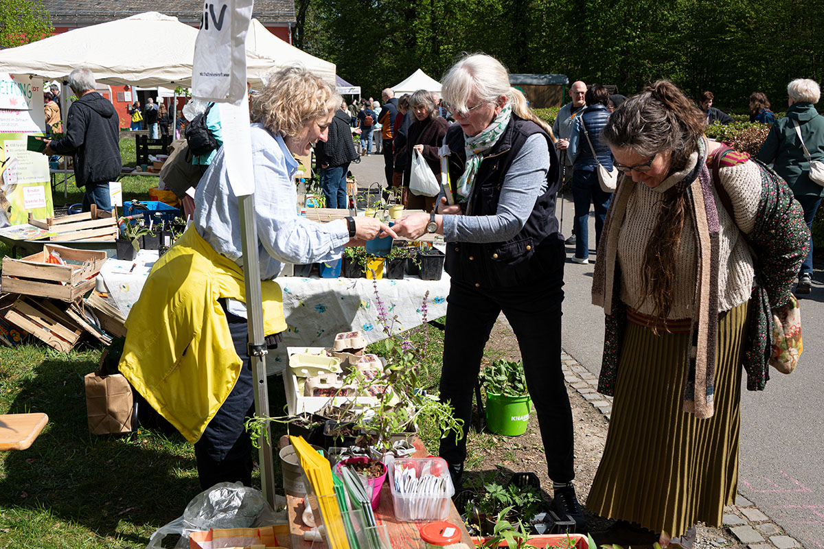 /2026/04/25-04-2026pflanzentauschb%C3%B6rseg14.jpg