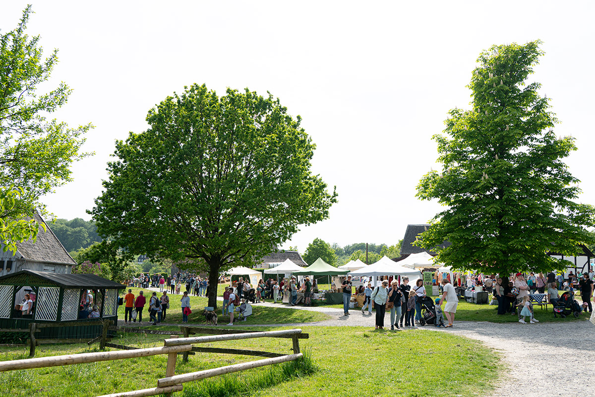 /2026/05/10-05-2026tierkinderg17.jpg