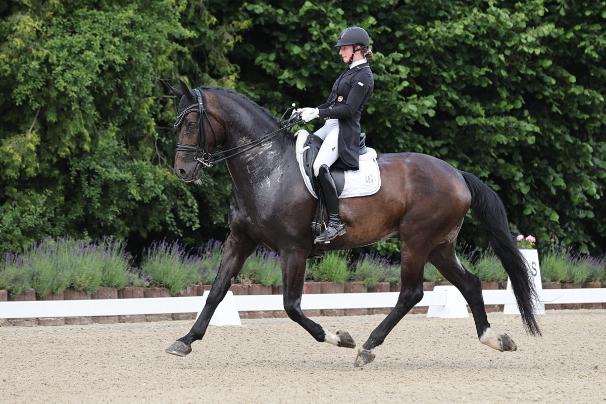 /2026/06/22-06-2026dressurg%2013.JPG