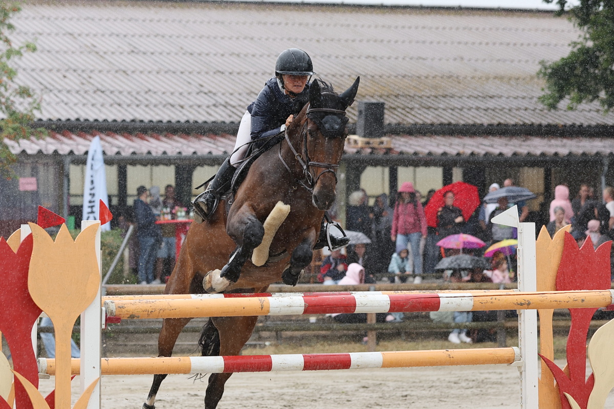 /2026/07/27-07-2026reiteng%2011.JPG
