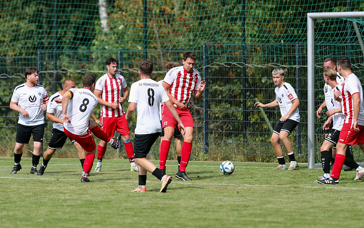 /2026/08/16-08-2026B%C3%BCrgermeisterinnen-Pokal-Waldbr%C3%B6l51.JPG