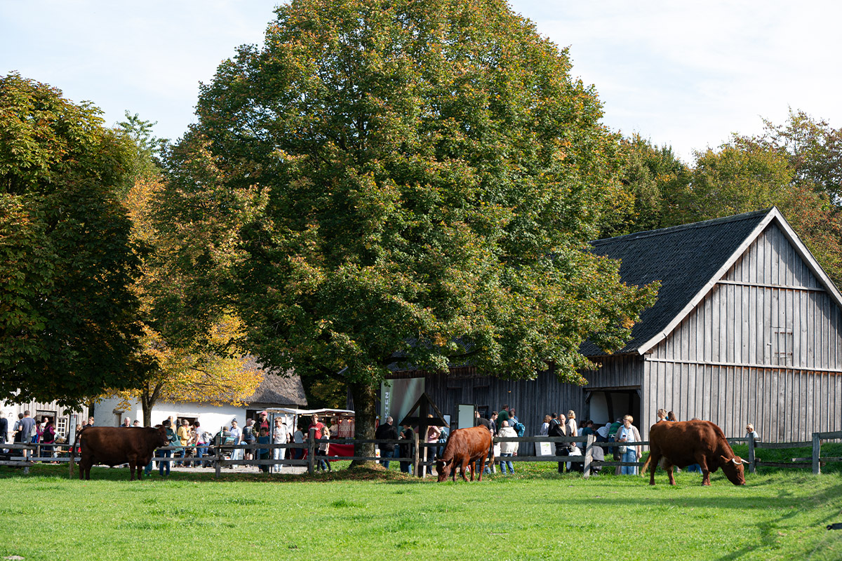 /2026/10/04-10-2026obstwiesenfestg15.jpg