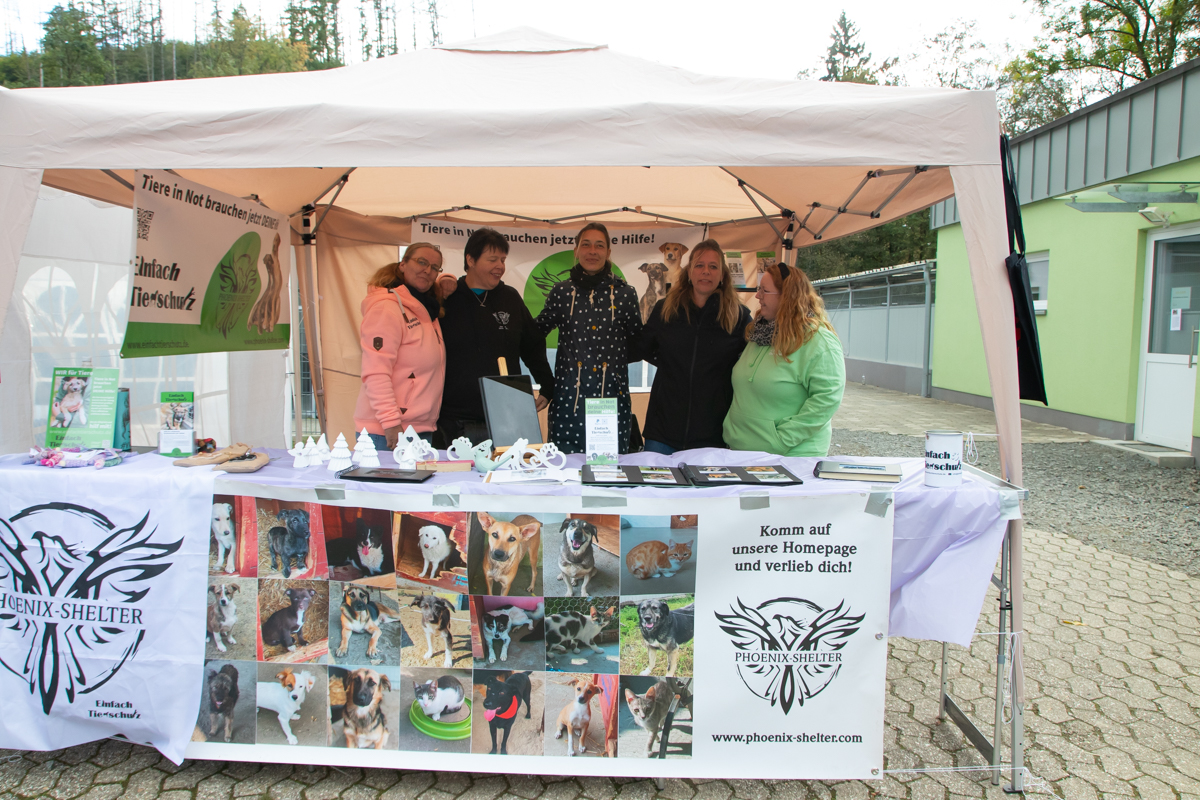 /2026/10/11-10-2026tierheimkoppelweidefestg-04.jpg