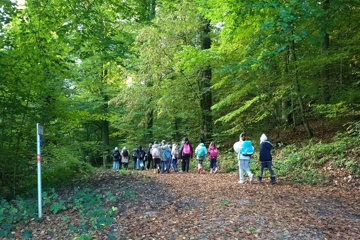 /2026/10/12-10-2026wald3.jpg