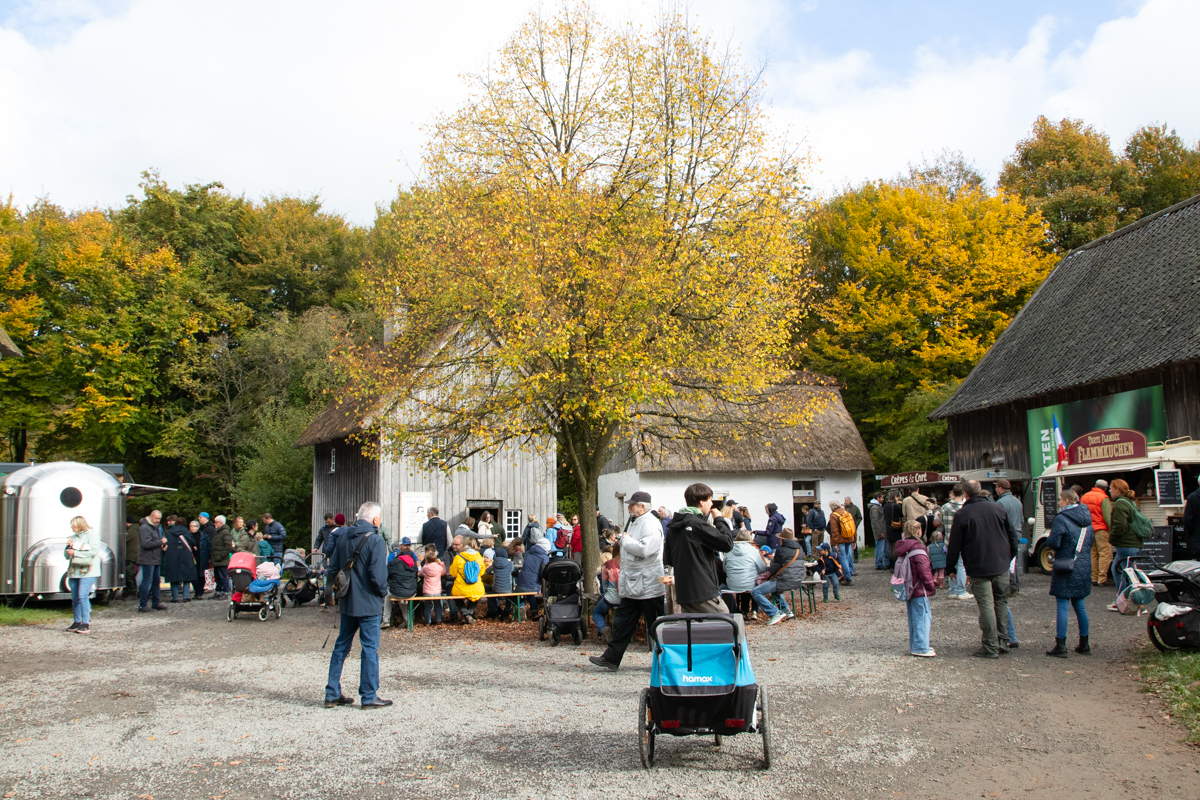 /2026/10/18-10-2026KartoffelfestLVRLindlarg-35.jpg