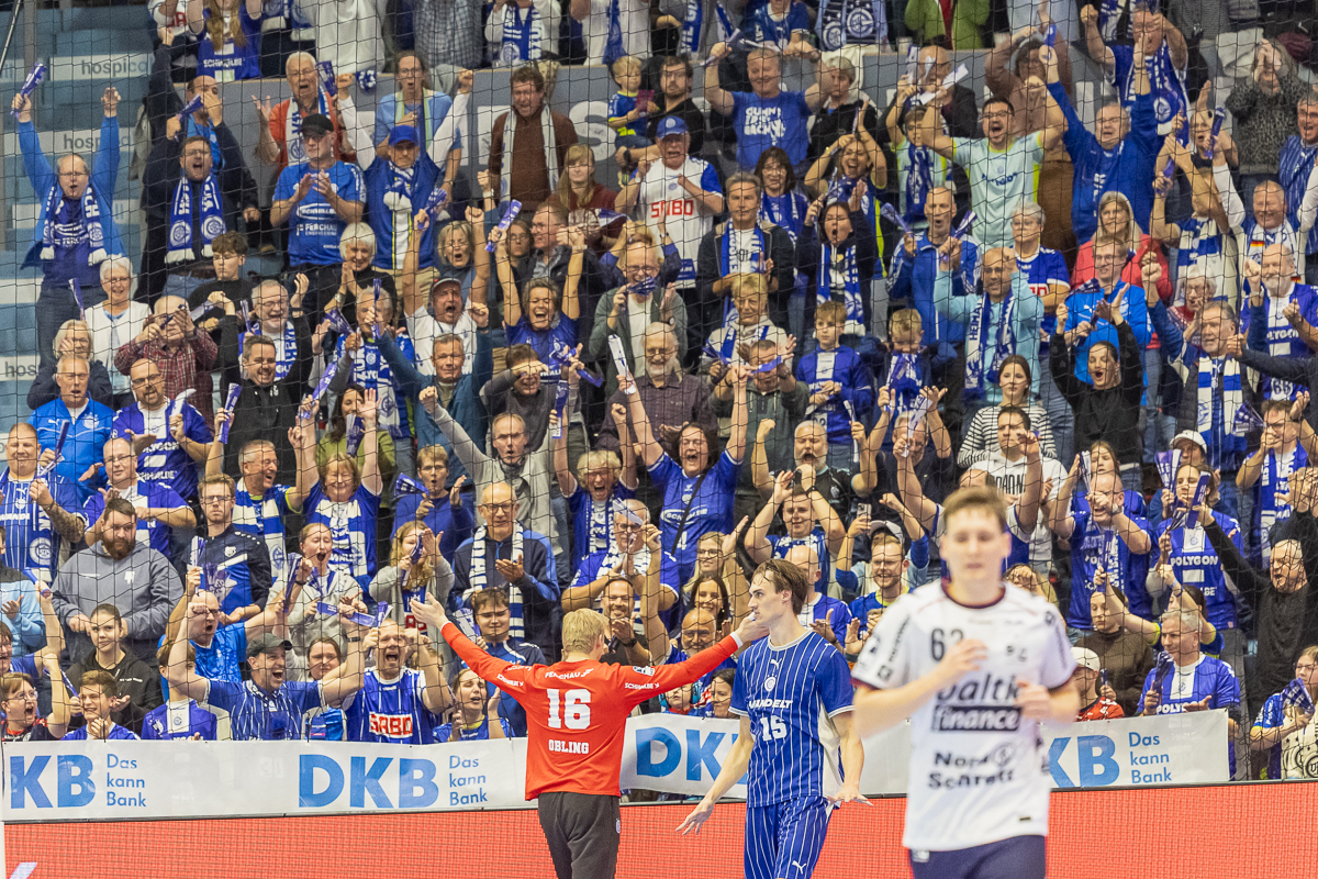 /2026/10/25-10-2026VfLSGF_g26.jpg