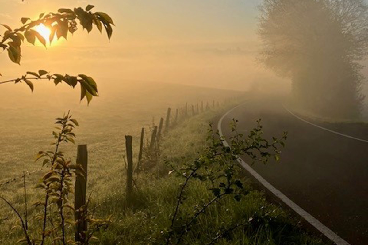 /Foto%20des%20Tages/05/13-05-2025bdt.jpg