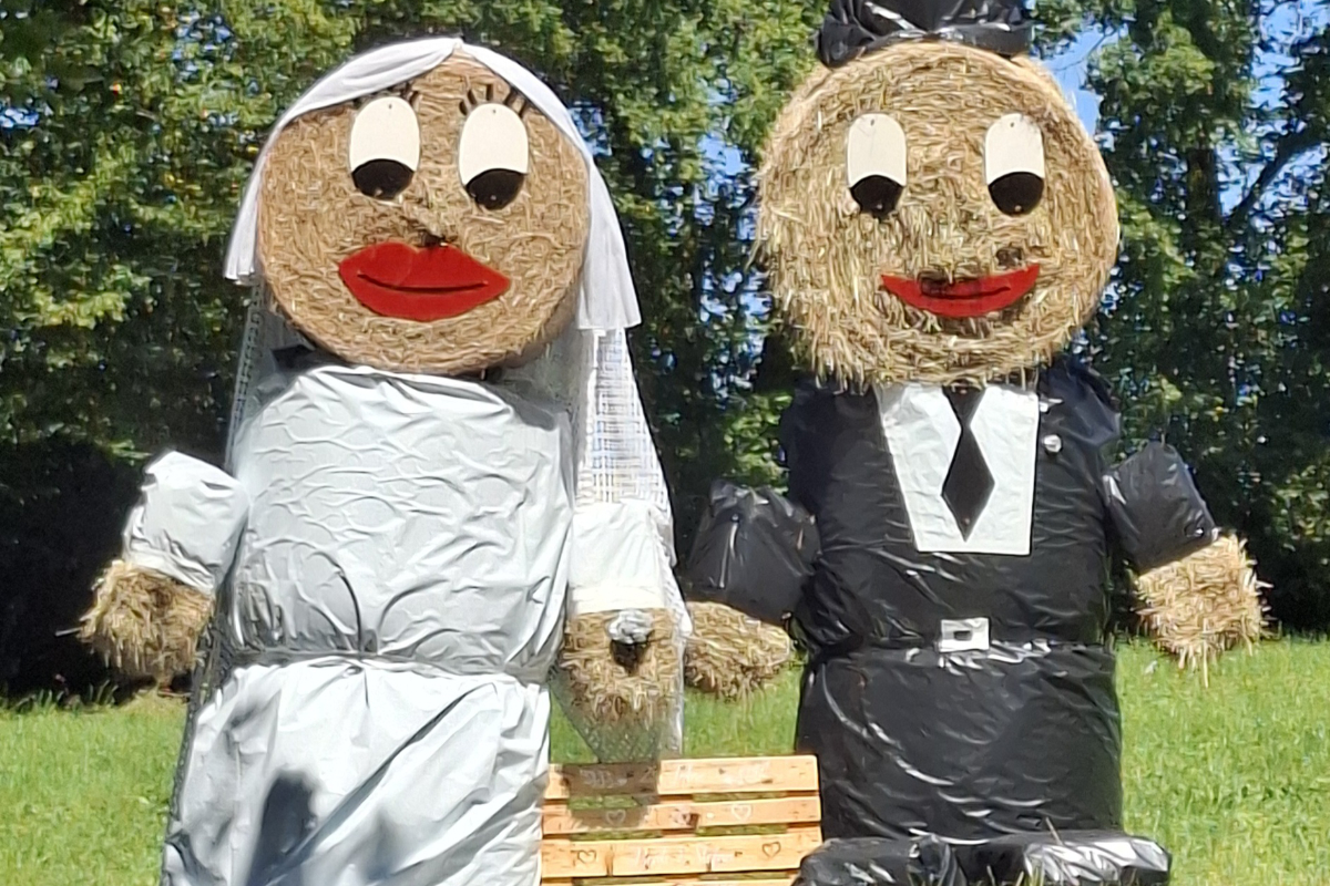 /Foto%20des%20Tages/08/14-08-2026bdt.jpg