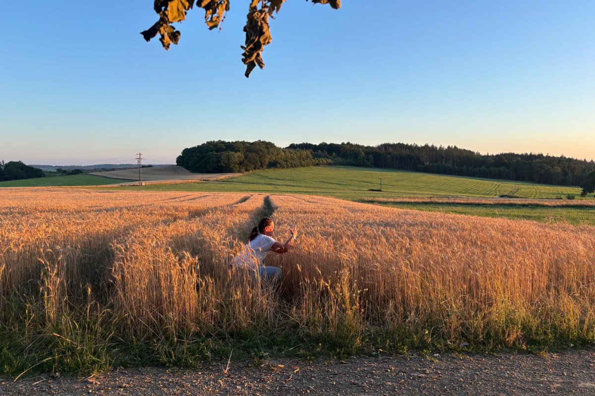/Foto%20des%20Tages/08/18-08-2026bdt.jpg