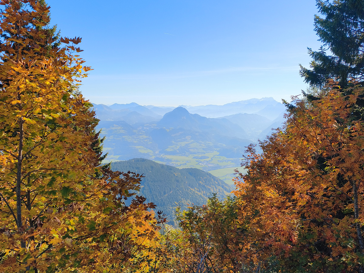 /Foto%20des%20Tages/10/16-10-2026bdt.jpg