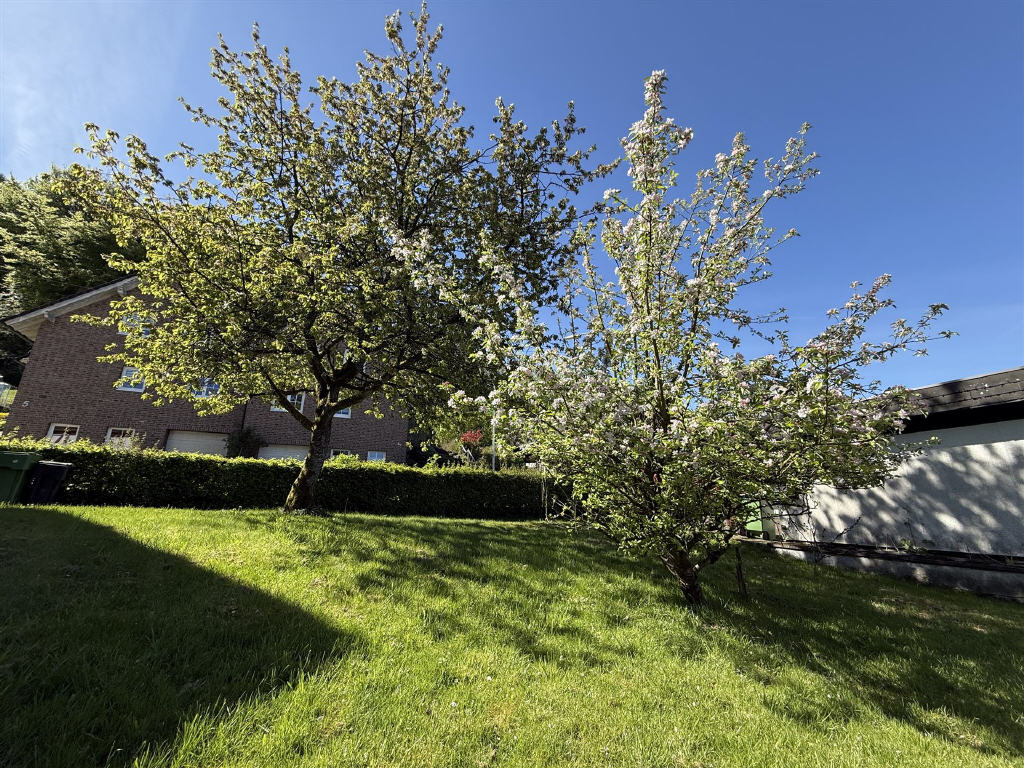 /Immobilien/Importierte%20Bilder/004400052001_004400052001_302_2679_13052026155854374.JPG