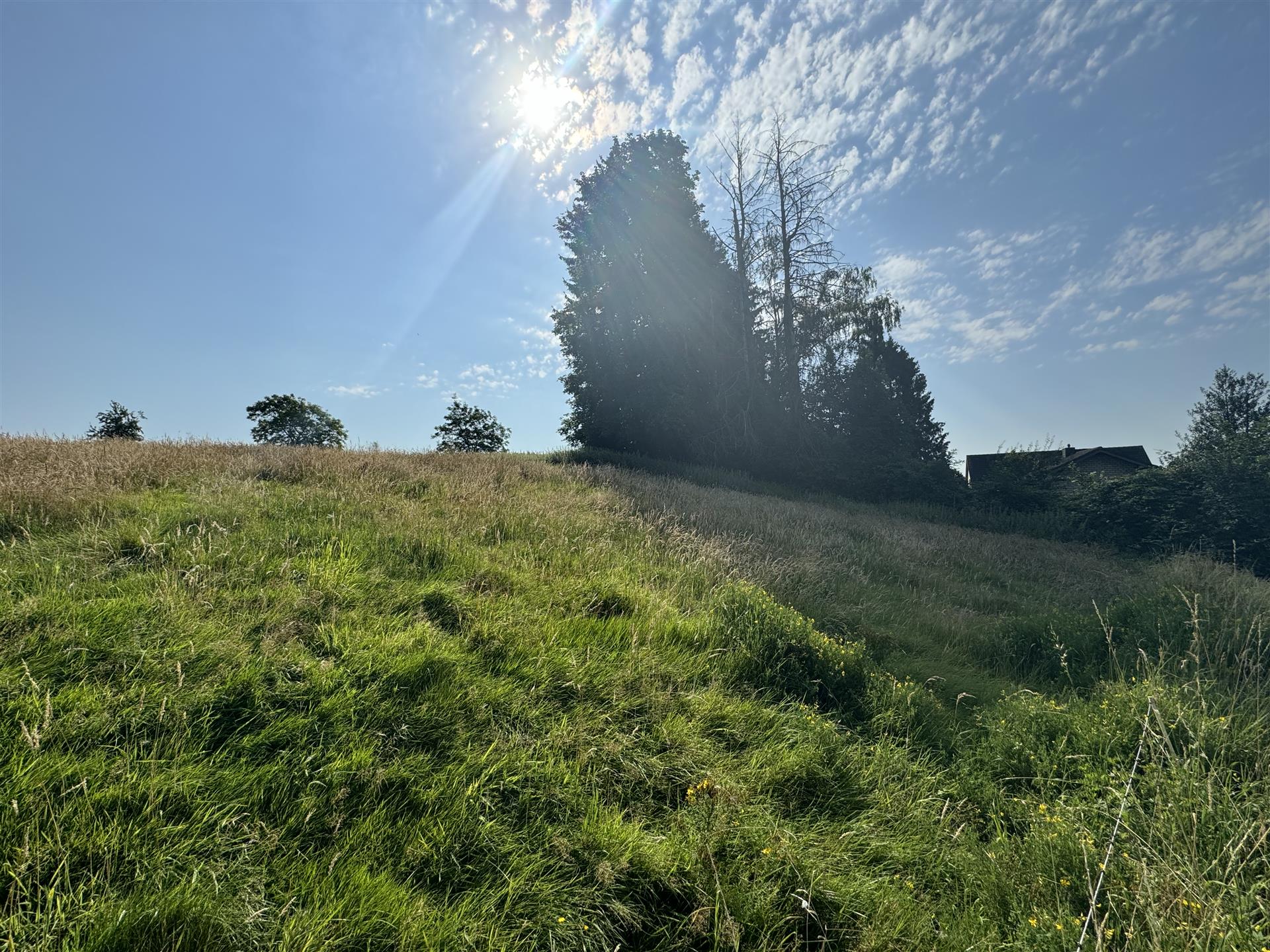 /Immobilien/Importierte%20Bilder/27720880.jpg