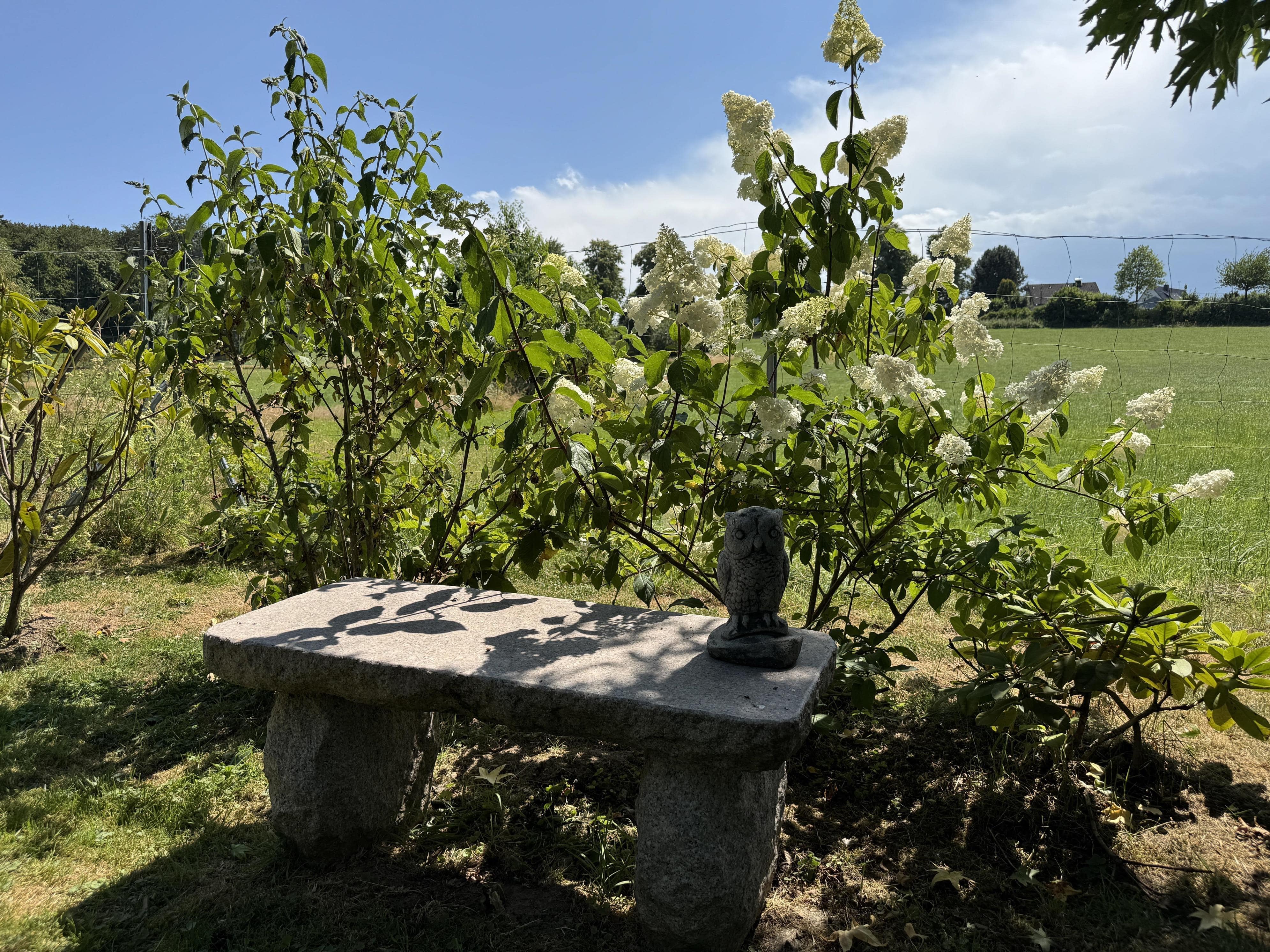 /Immobilien/Importierte%20Bilder/27954630.jpg