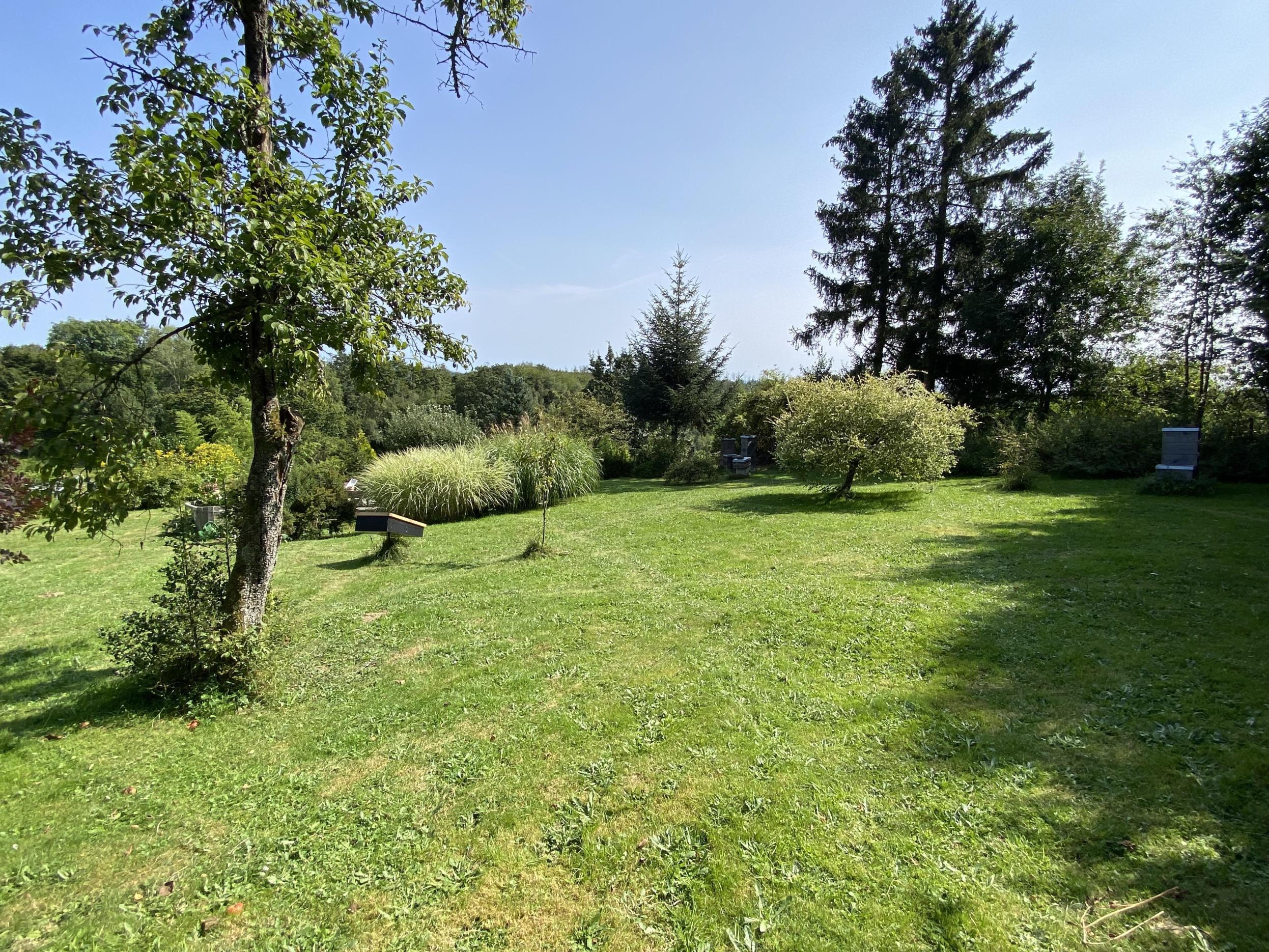 /Immobilien/Importierte%20Bilder/62042291.jpeg