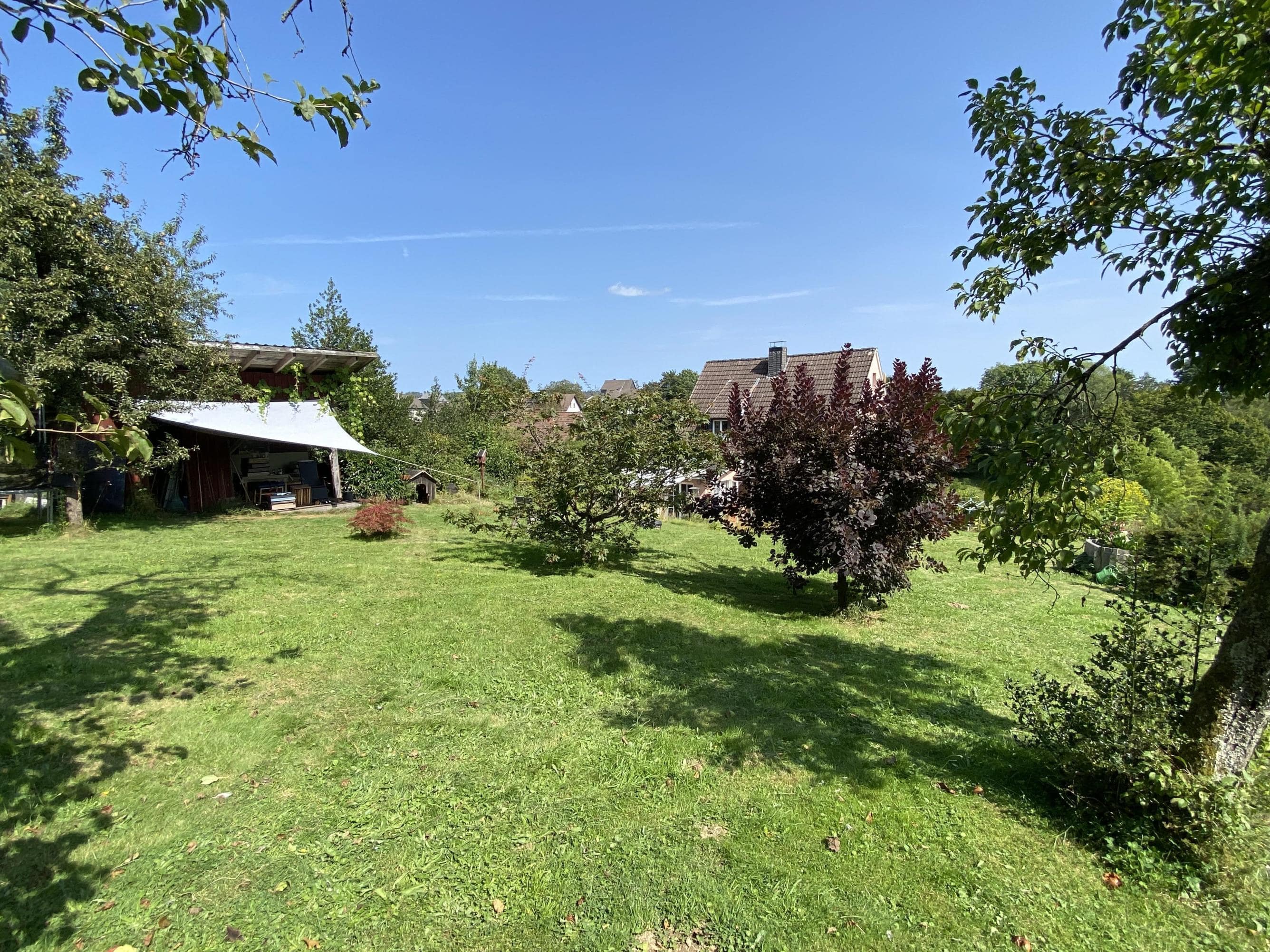 /Immobilien/Importierte%20Bilder/62042301.jpeg