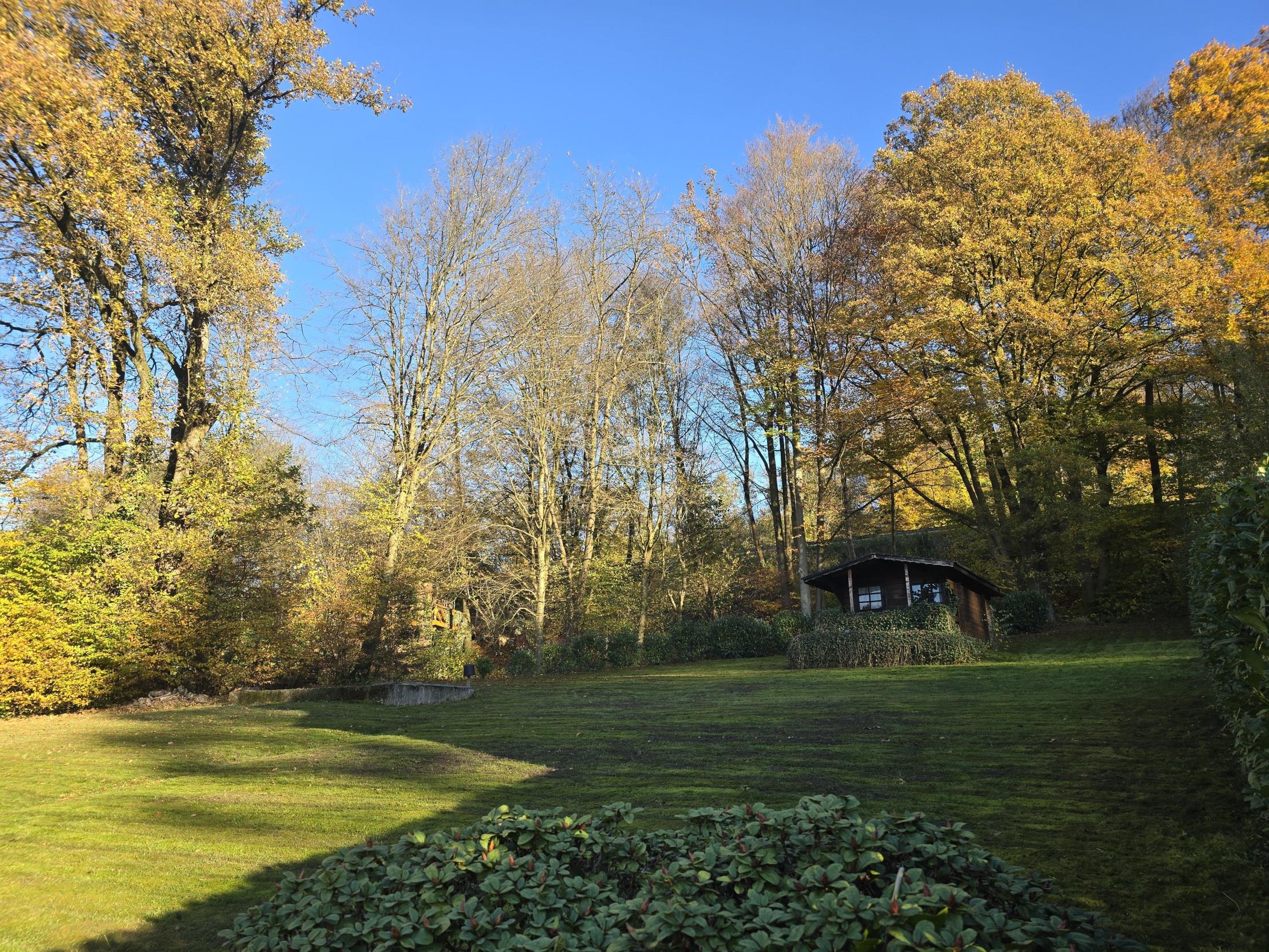 /Immobilien/Importierte%20Bilder/65304381.jpg