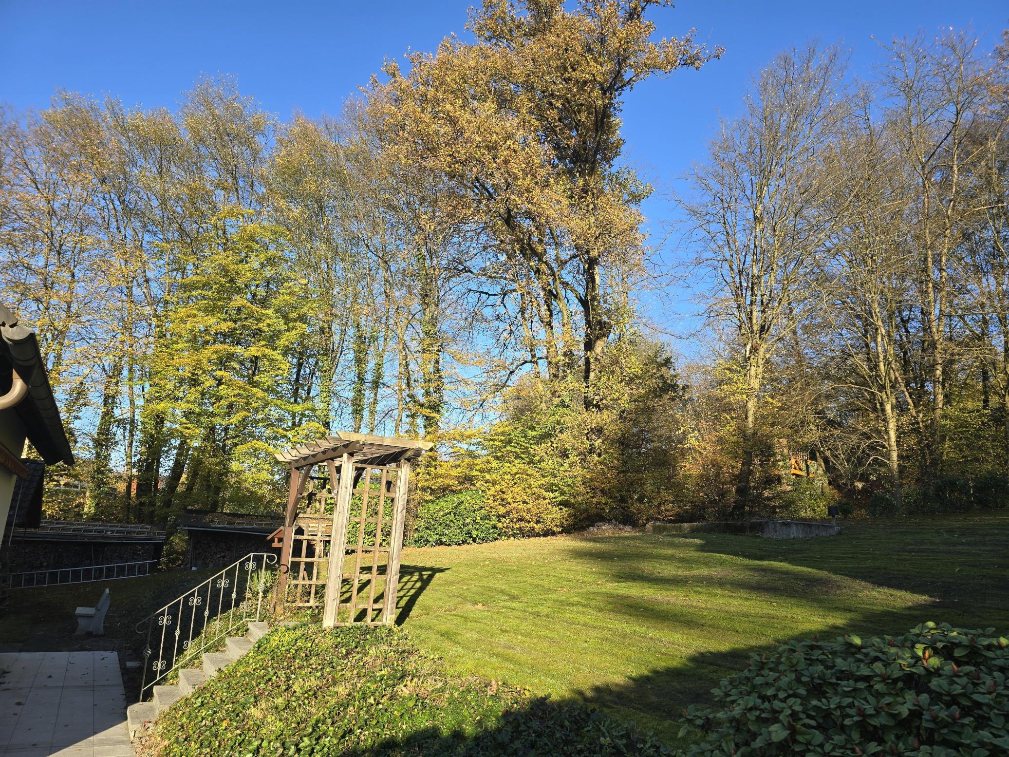 /Immobilien/Importierte%20Bilder/65304391.jpg