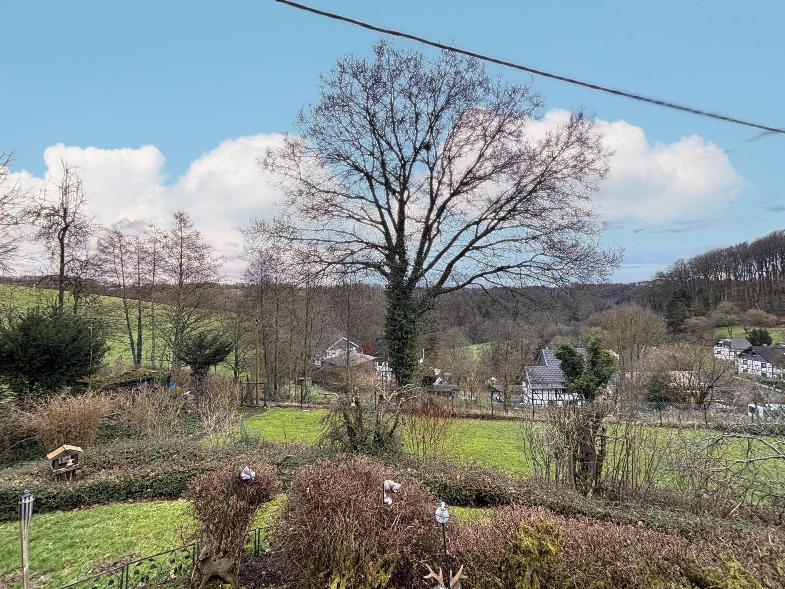 /Immobilien/Importierte%20Bilder/65427971_1.jpeg