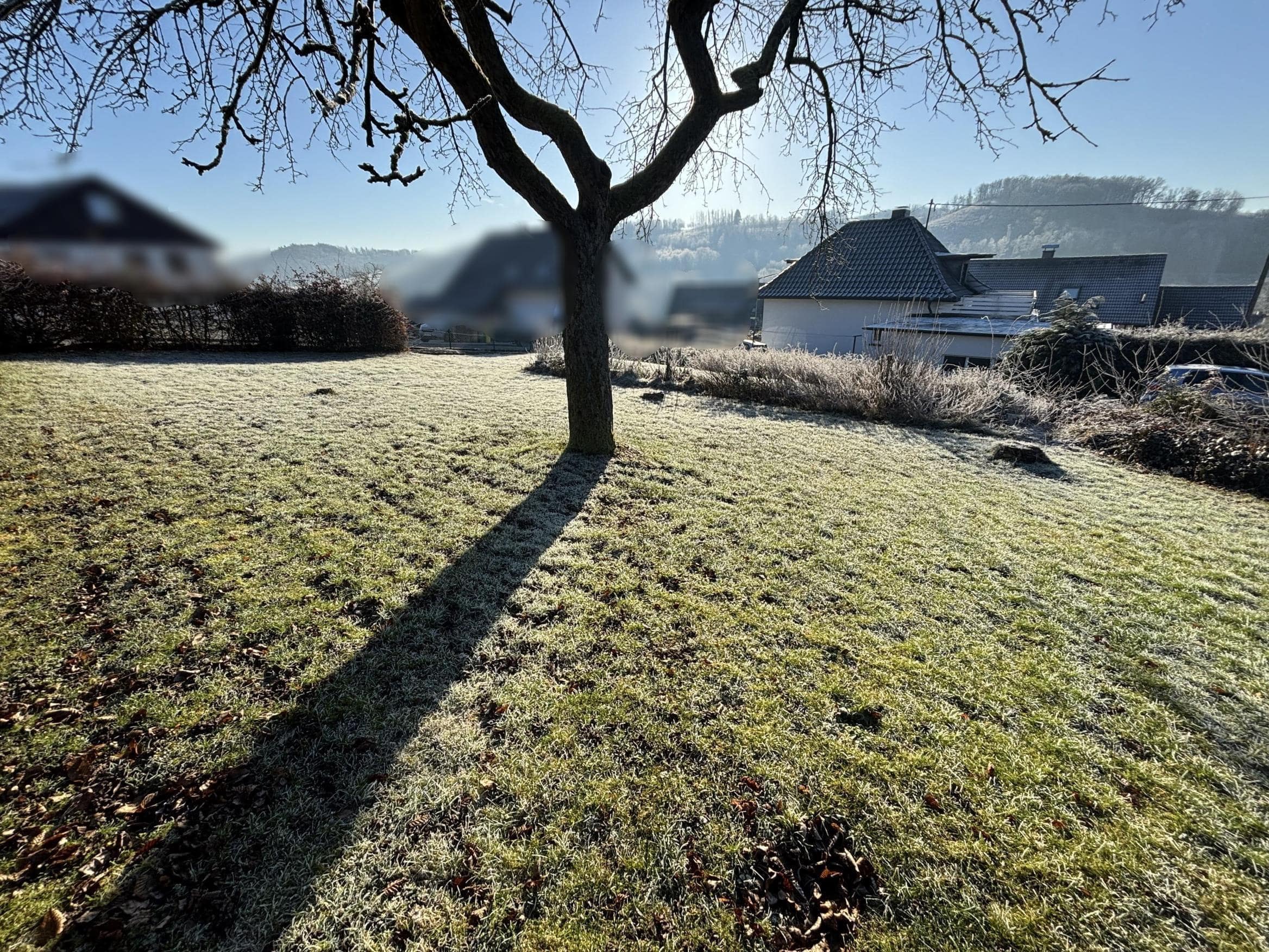 /Immobilien/Importierte%20Bilder/65482861_2.jpeg