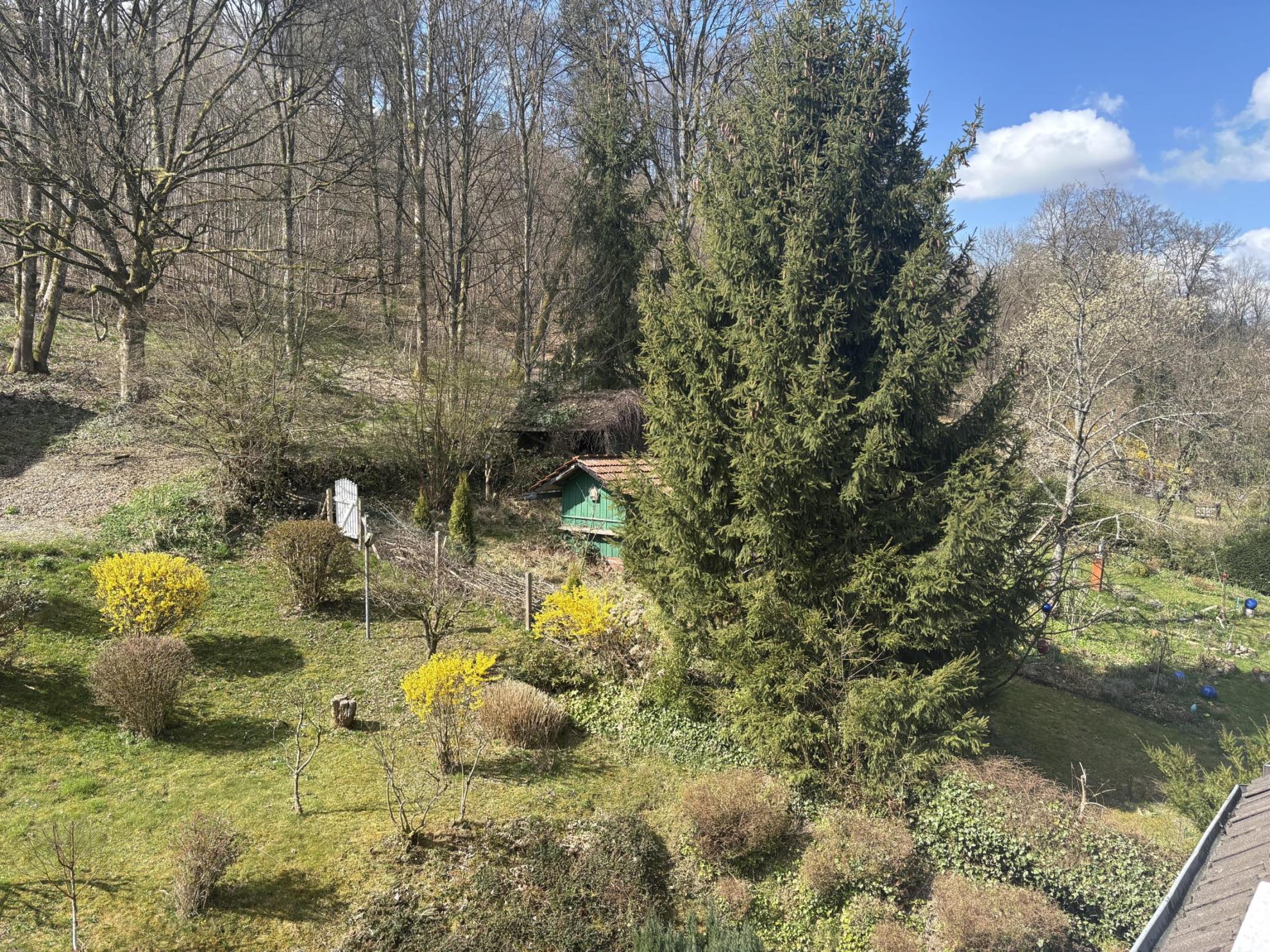 /Immobilien/Importierte%20Bilder/66979541.jpeg