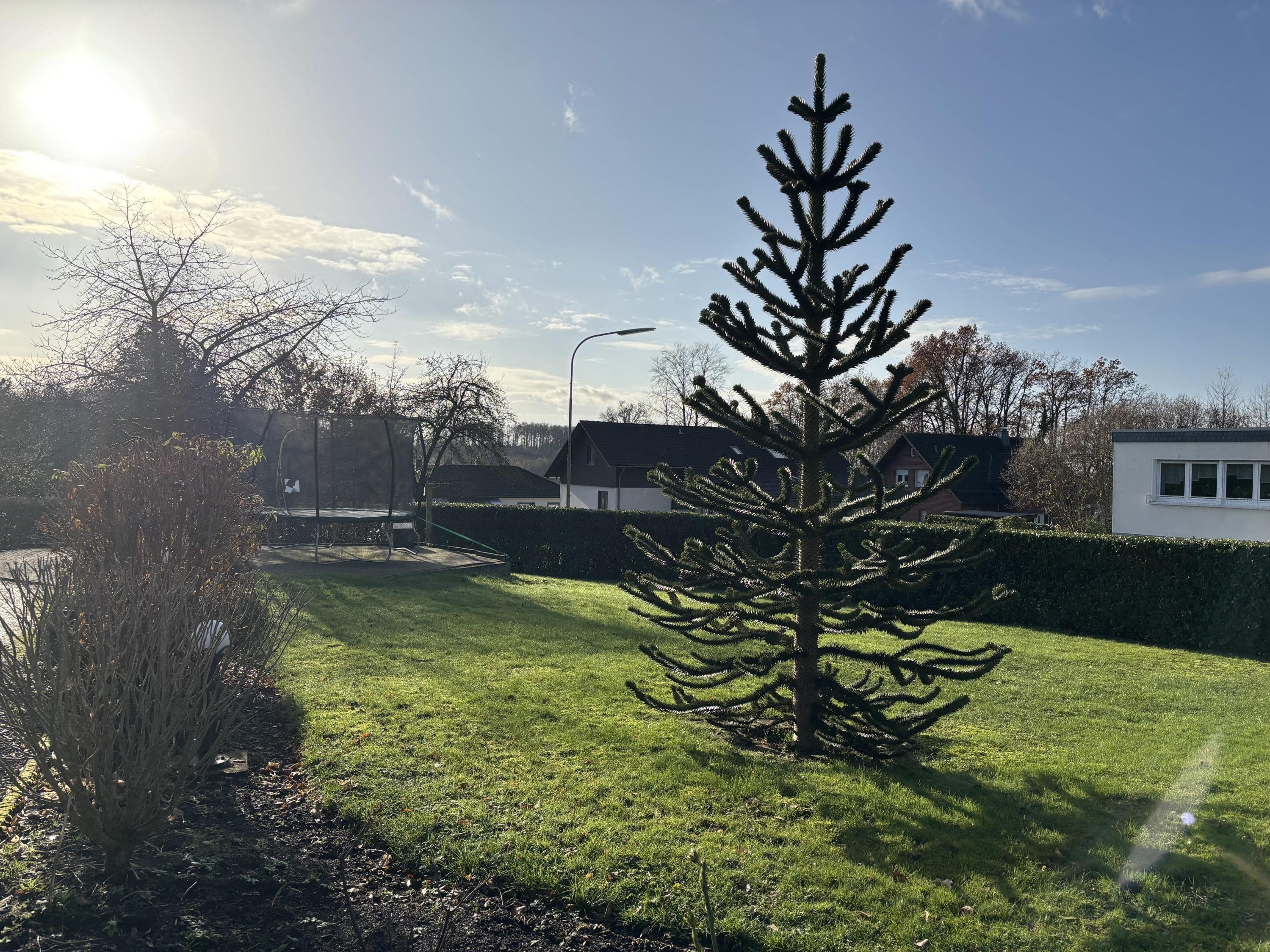 /Immobilien/Importierte%20Bilder/67677411.jpeg