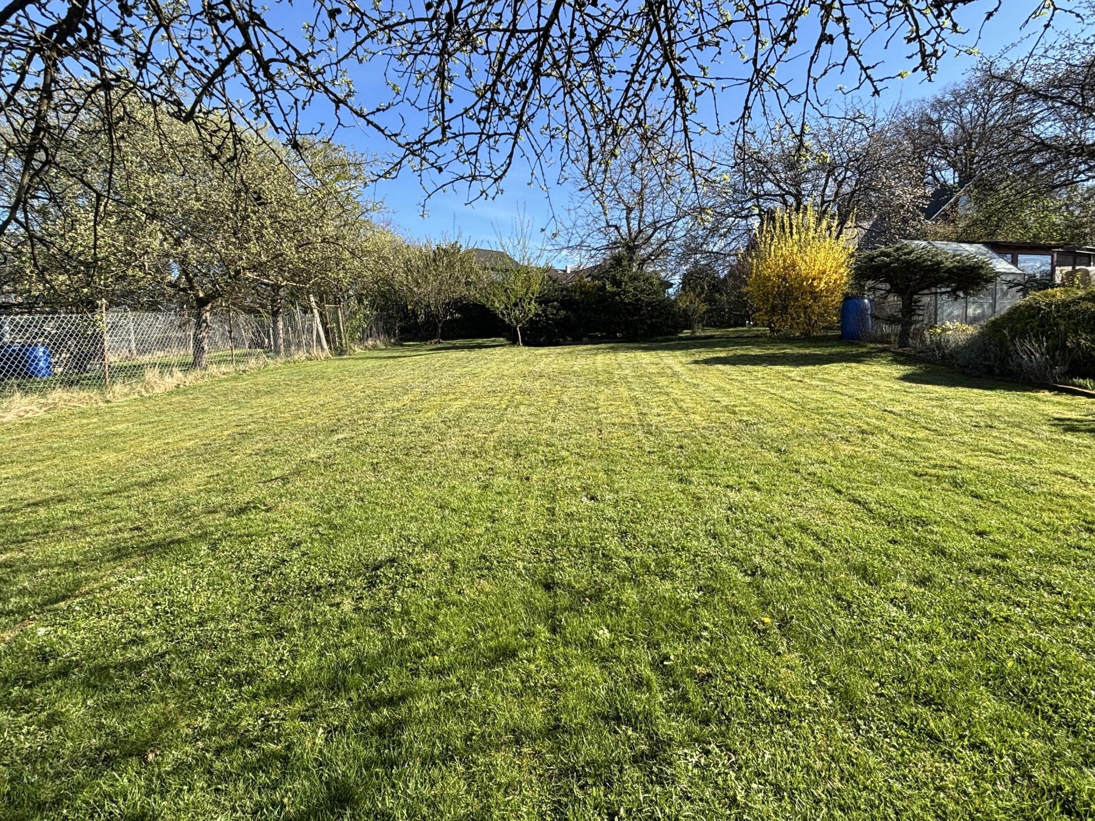 /Immobilien/Importierte%20Bilder/67811991.jpeg
