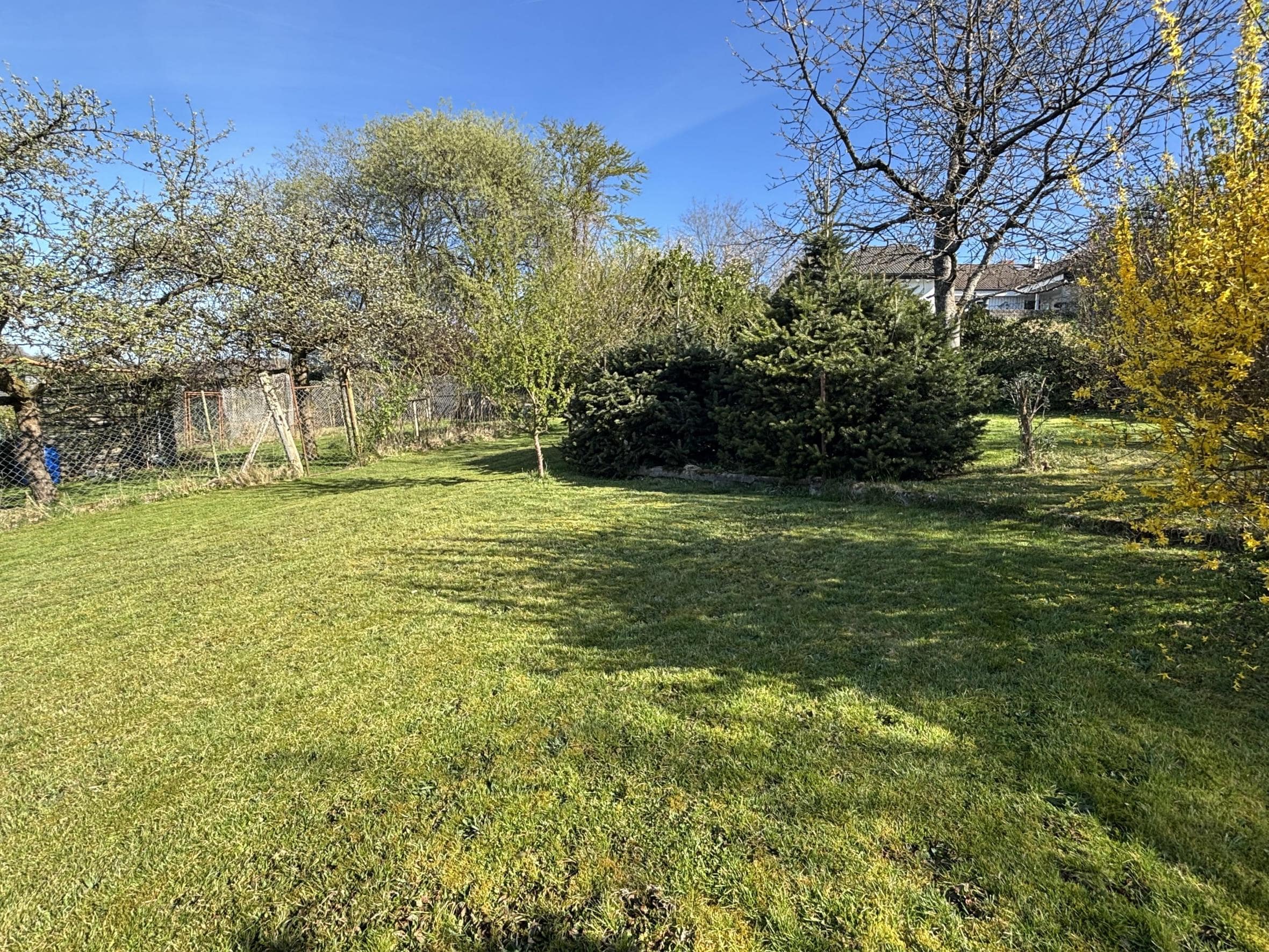 /Immobilien/Importierte%20Bilder/67812001.jpeg