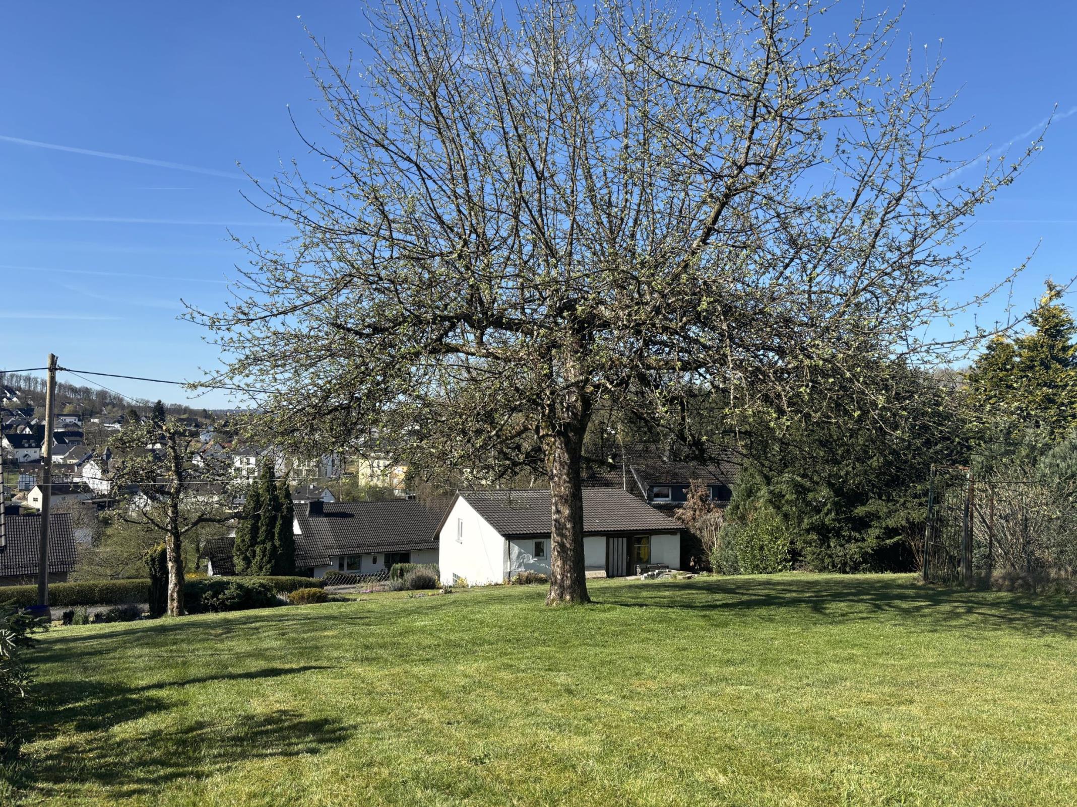 /Immobilien/Importierte%20Bilder/67812021.jpeg