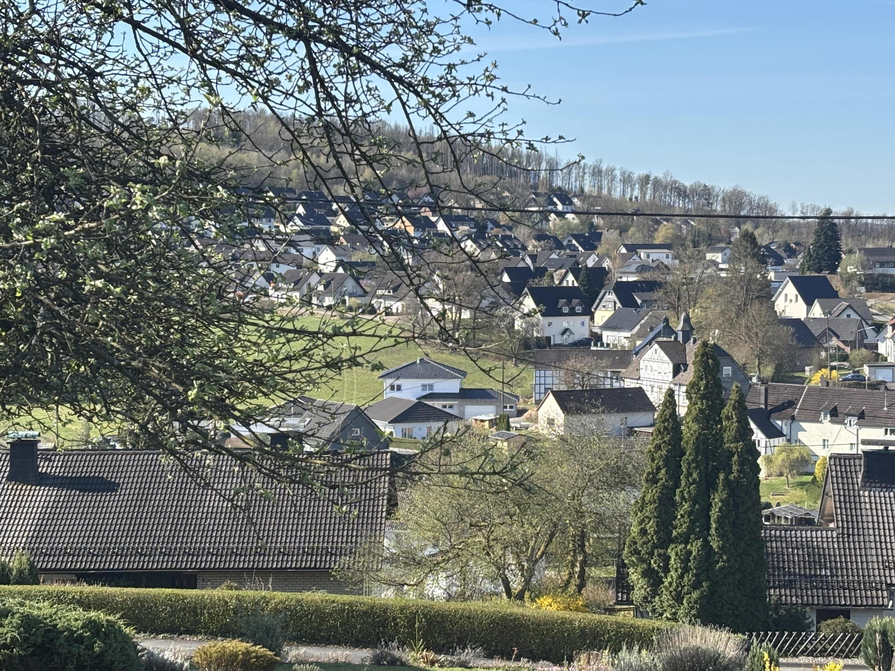/Immobilien/Importierte%20Bilder/67812071.jpeg
