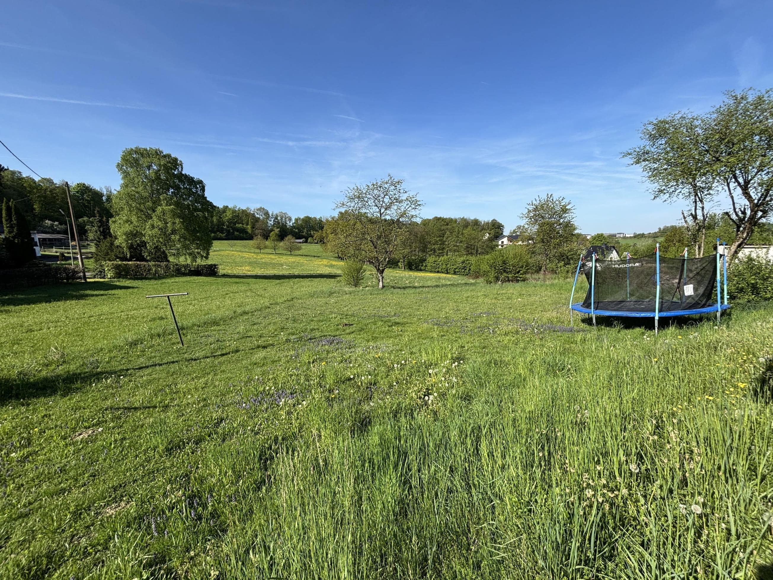 /Immobilien/Importierte%20Bilder/68248061.jpeg