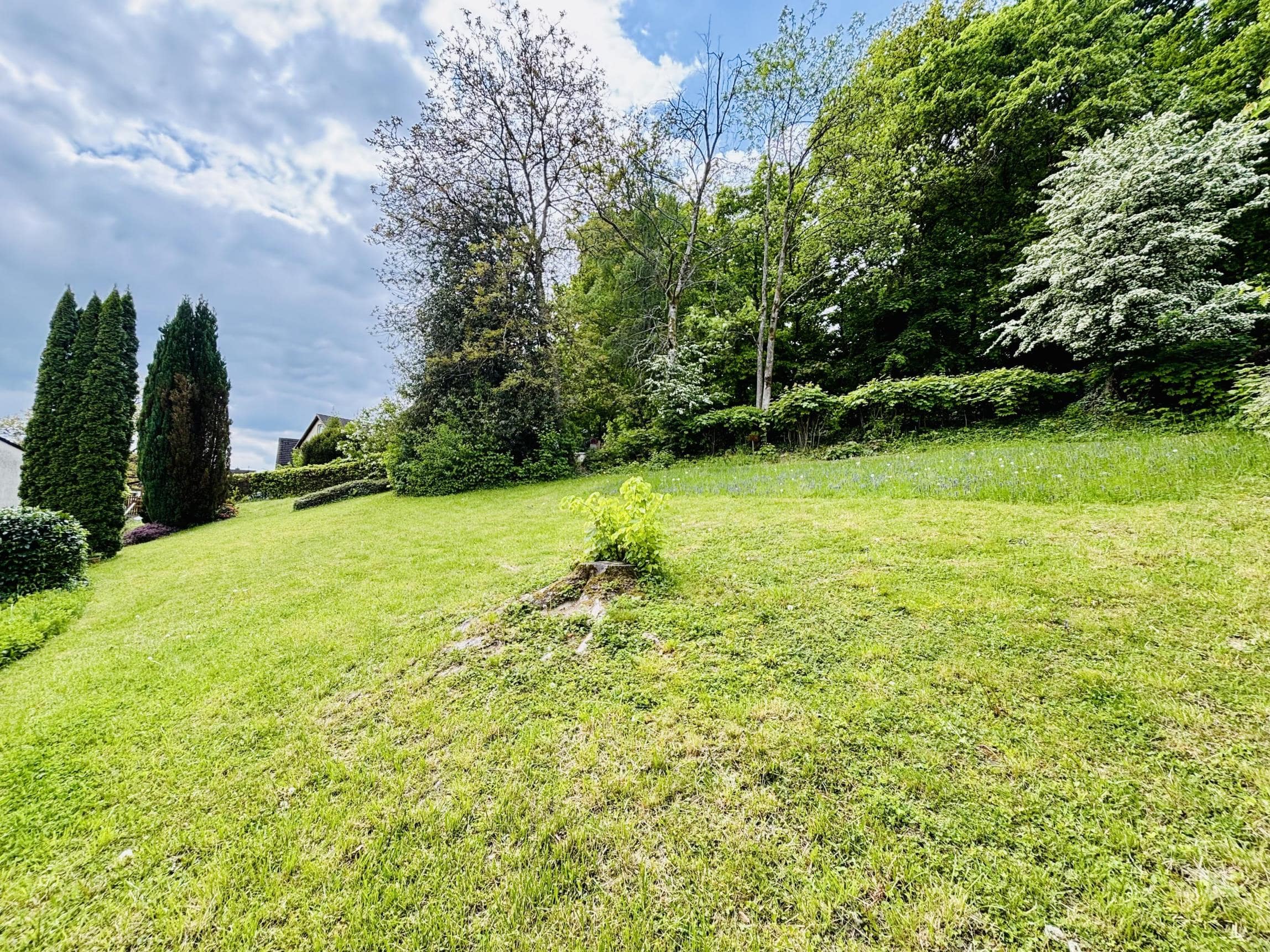 /Immobilien/Importierte%20Bilder/68417791.jpeg