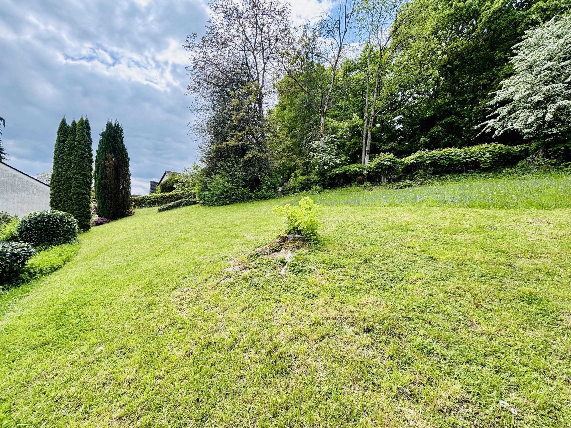 /Immobilien/Importierte%20Bilder/68417801.jpeg
