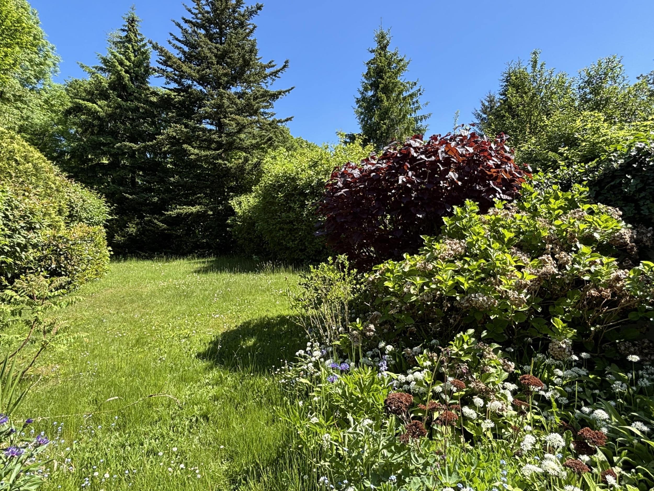 /Immobilien/Importierte%20Bilder/68425251.jpeg